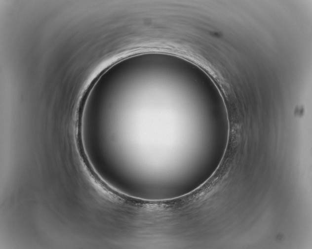 X0000096131523200801251004