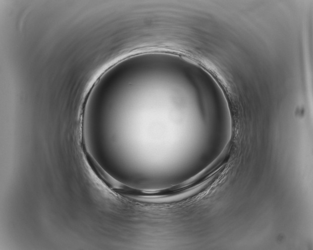 X0000096131524200801251004