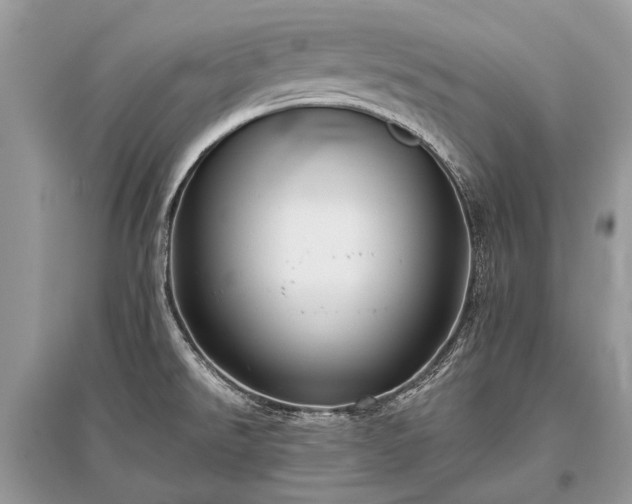 X0000096131526200801251004