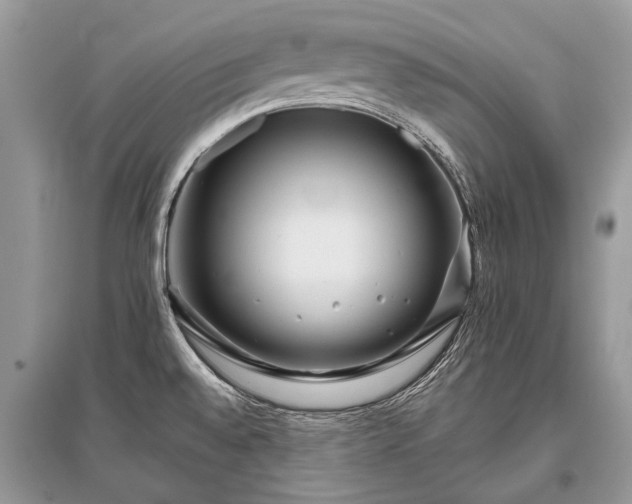 X0000096131528200801251004