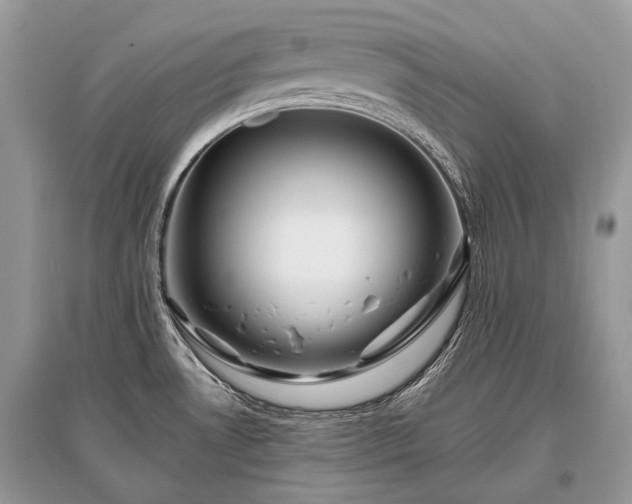 X0000096131530200801251004