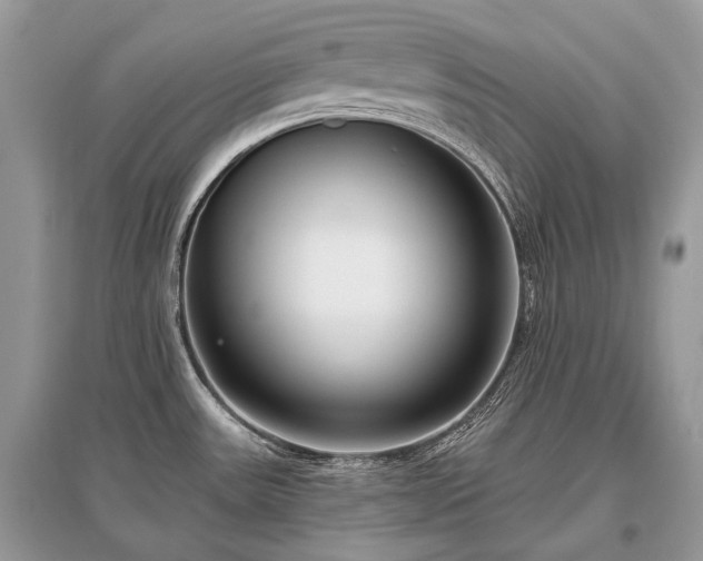 X0000096131531200801251004