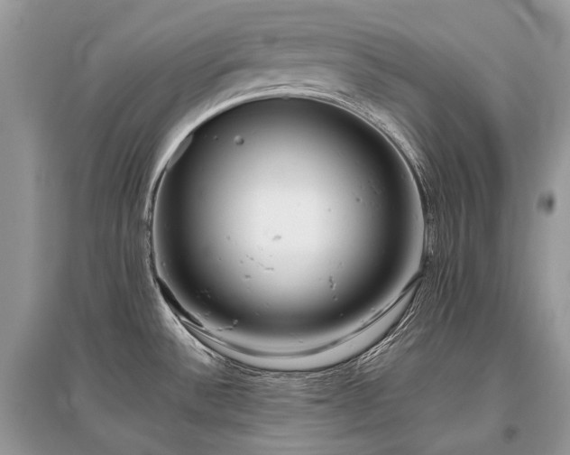 X0000096131532200801251004