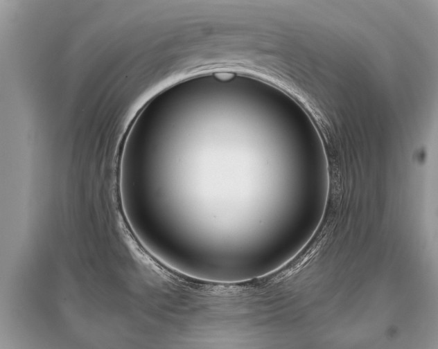 X0000096131534200801251004