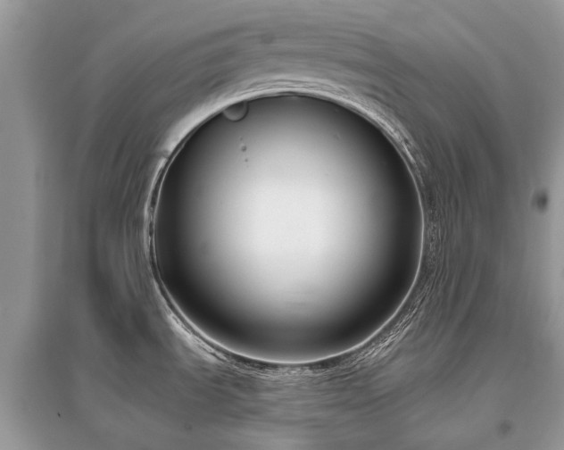 X0000096131535200801251004