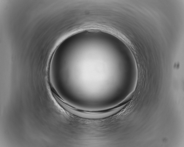 X0000096131536200801251004