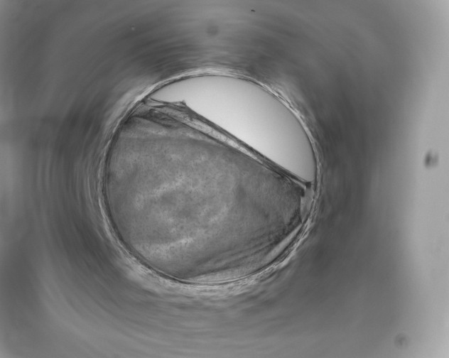 X0000096130001200802011159
