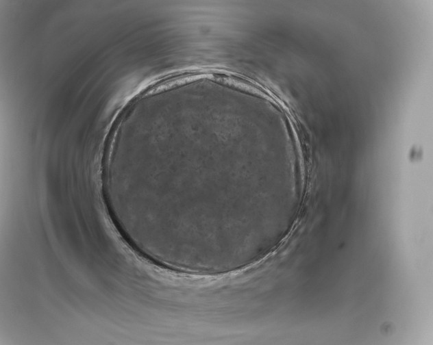 X0000096130002200802011159