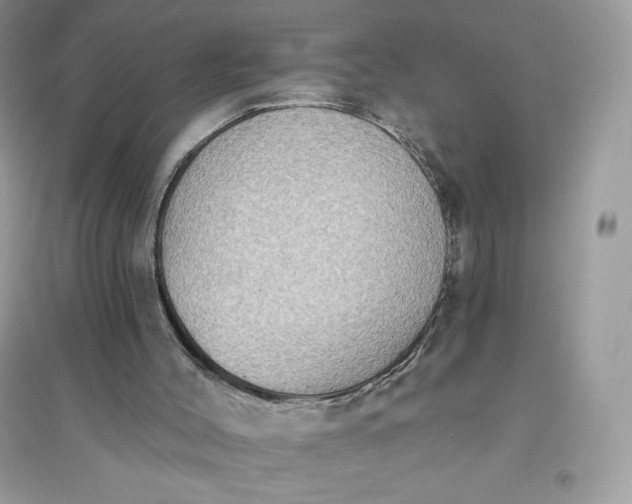 X0000096130004200802011158
