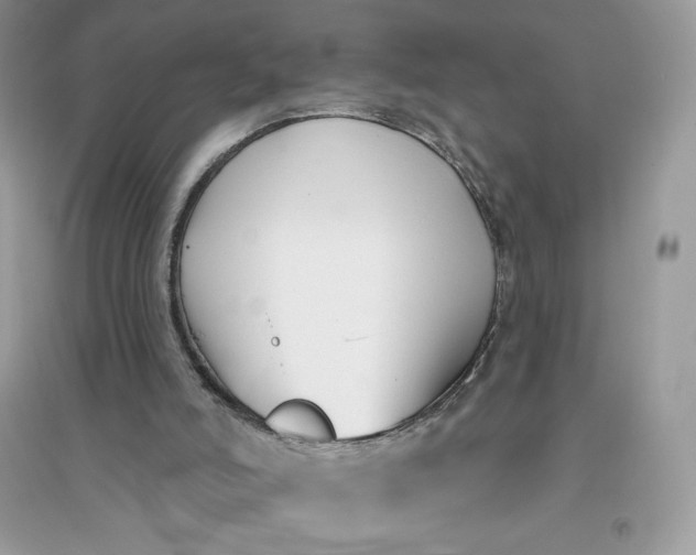 X0000096130006200802011158