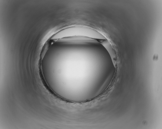 X0000096130007200802011158