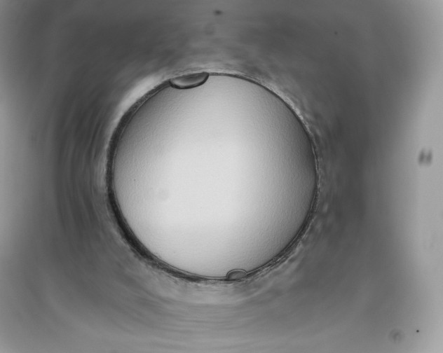 X0000096130008200802011158