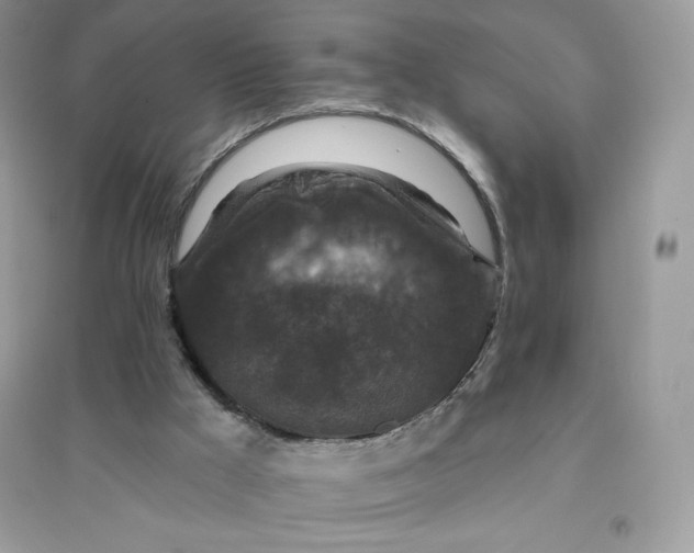 X0000096130009200802011158