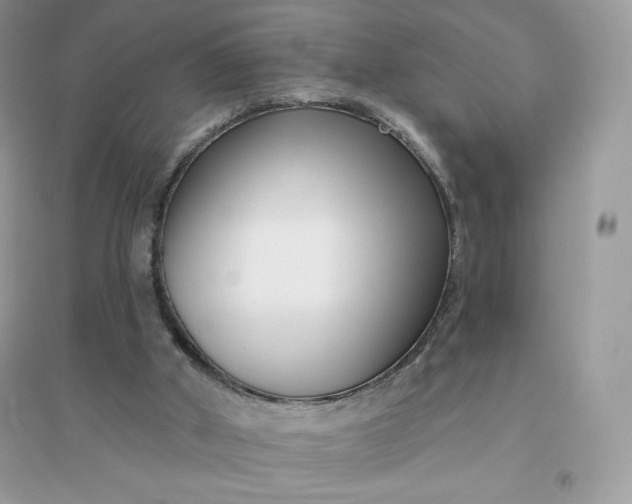 X0000096130010200802011158