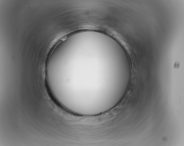 X0000096130011200802011158