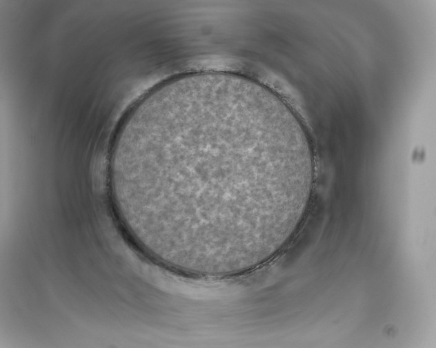 X0000096130012200802011158