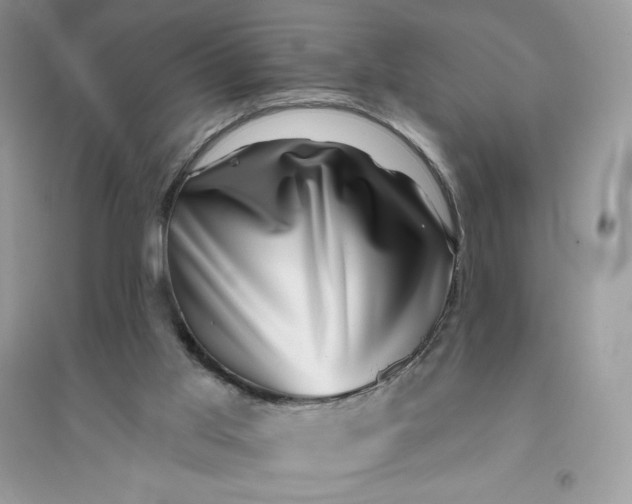 X0000096130013200802011158