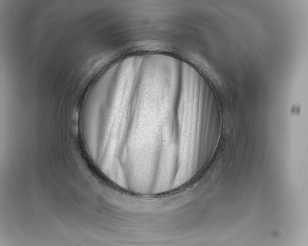 X0000096130014200802011158