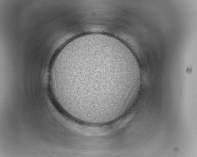 X0000096130016200802011158