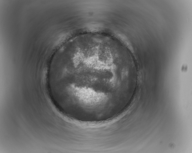 X0000096130018200802011158