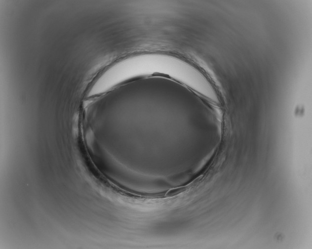 X0000096130019200802011158