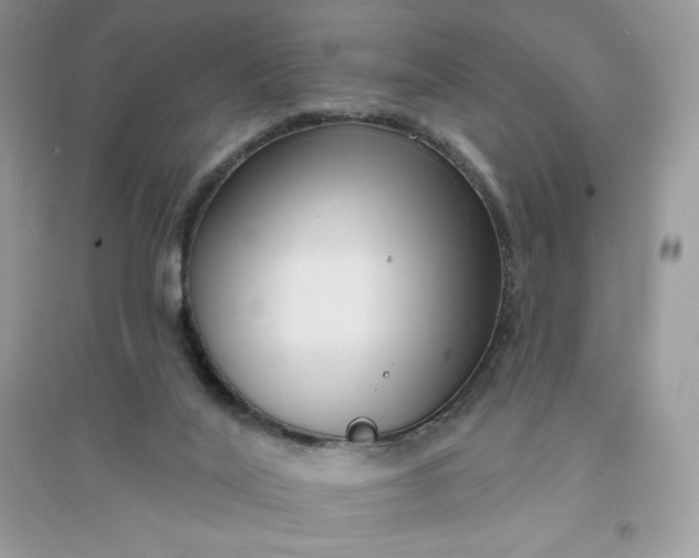X0000096130020200802011158