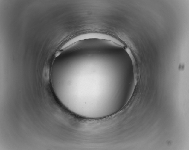 X0000096130021200802011158