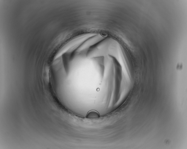 X0000096130022200802011158