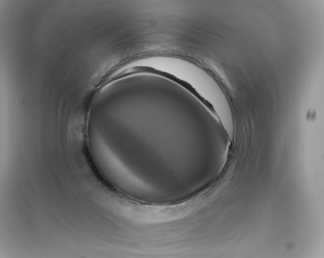 X0000096130023200802011158