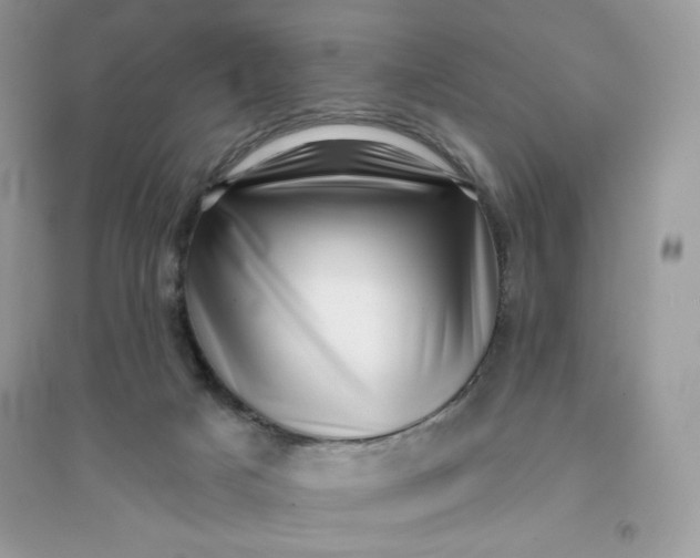 X0000096130025200802011158