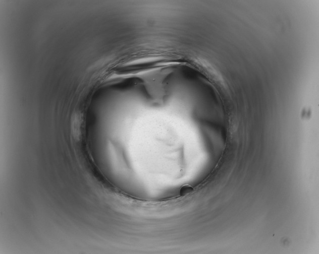 X0000096130026200802011158
