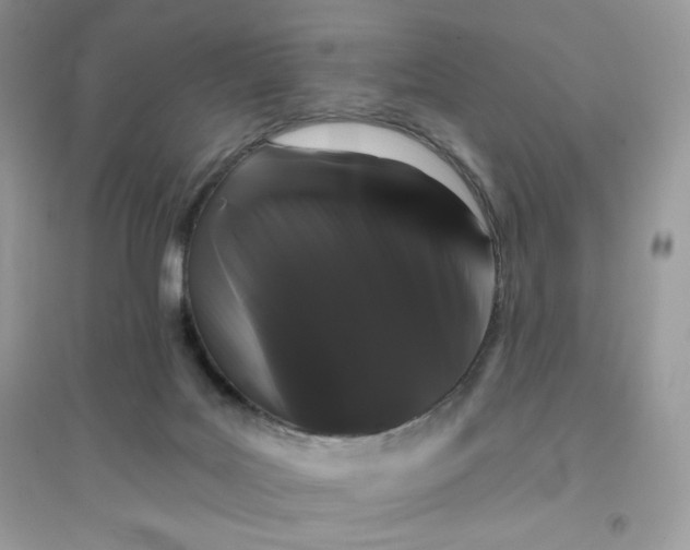 X0000096130027200802011158
