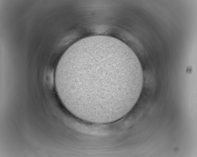 X0000096130028200802011158