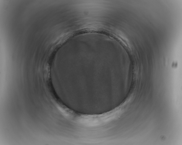 X0000096130029200802011158