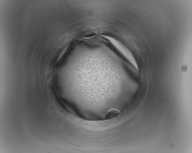 X0000096130030200802011158