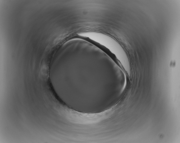 X0000096130031200802011158