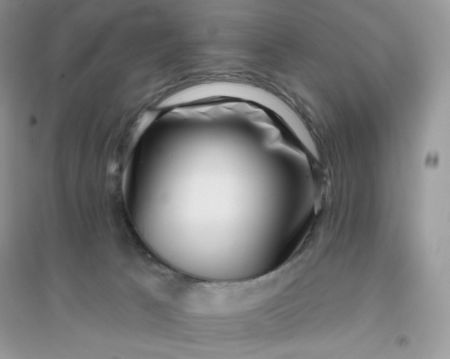 X0000096130033200802011158