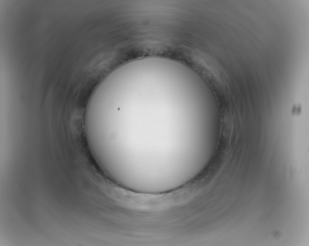 X0000096130034200802011158