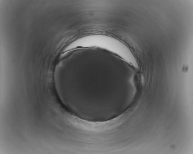 X0000096130035200802011158