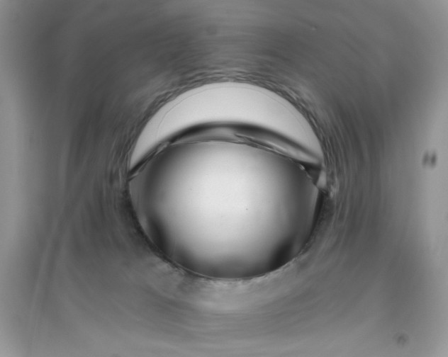 X0000096130037200802011158