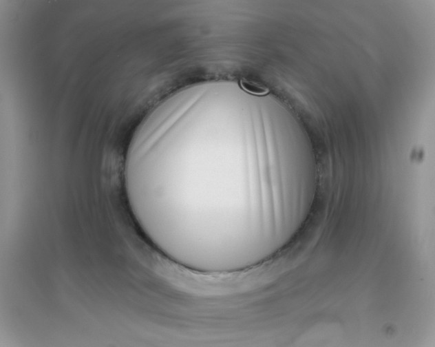 X0000096130038200802011158