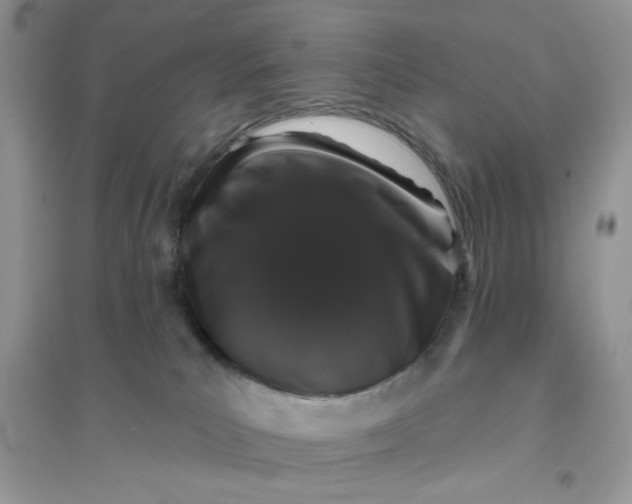 X0000096130039200802011158