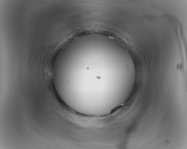 X0000096130040200802011158