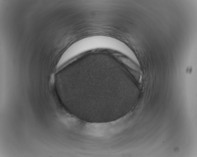 X0000096130041200802011158