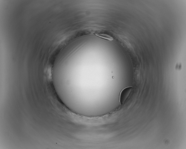 X0000096130042200802011158