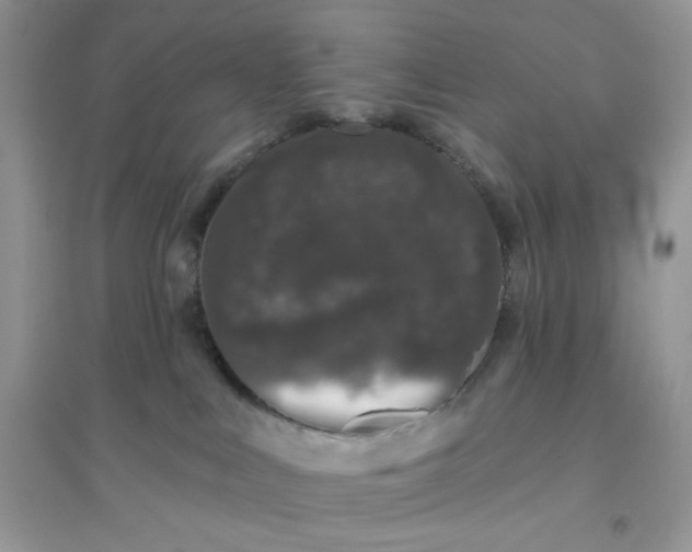 X0000096130043200802011158