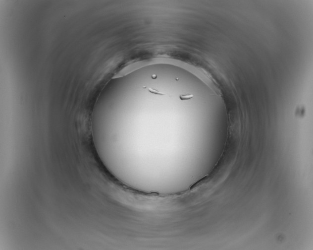 X0000096130044200802011158