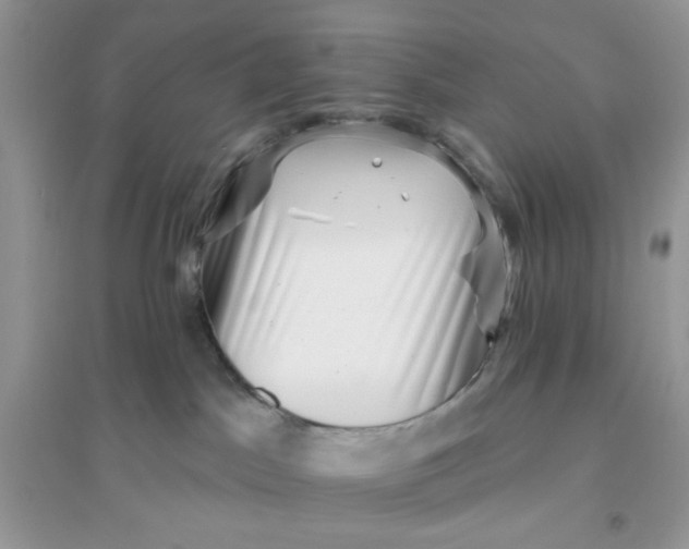 X0000096130045200802011158
