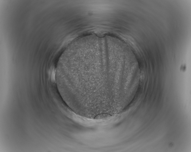 X0000096130046200802011158