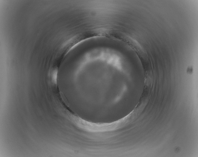X0000096130047200802011158